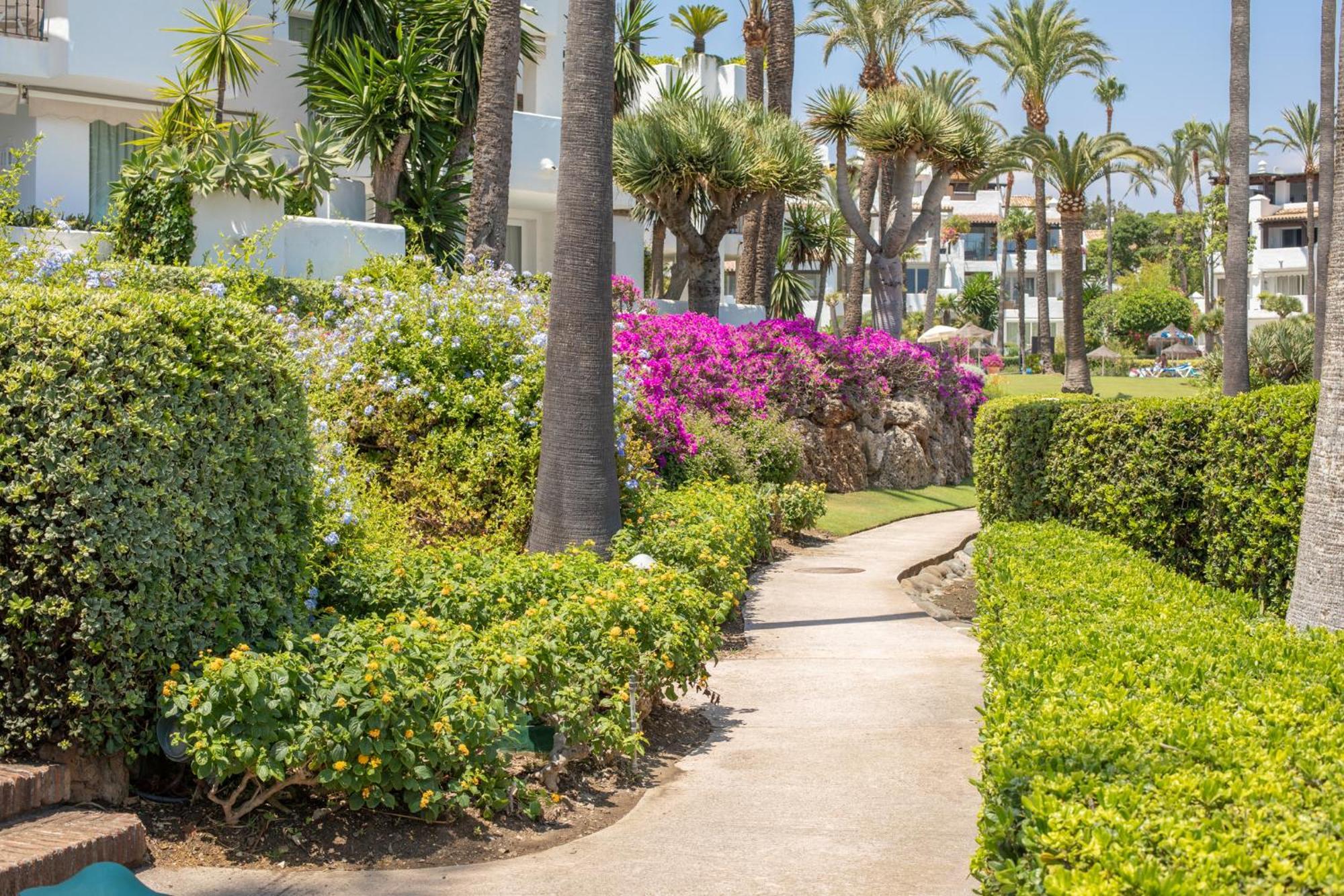 Hanami Alcazaba Beach Front Sea View إِستيبونا المظهر الخارجي الصورة